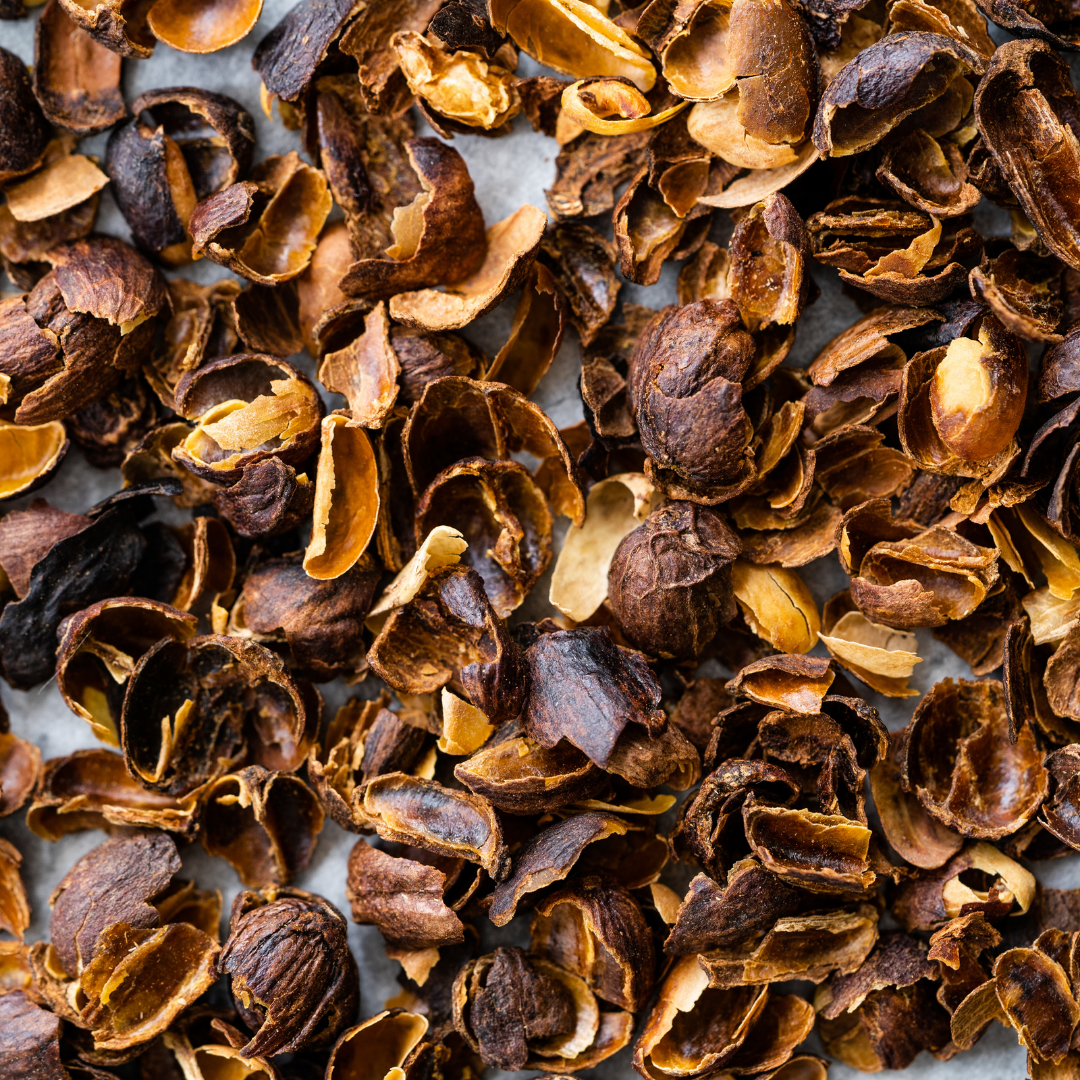 cascara (1)